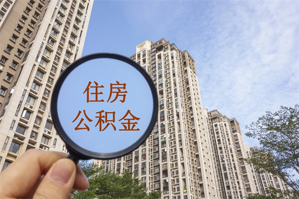 永兴辞职多久公积金可以全部取出来吗（辞职之后公积金多长时间可以取）